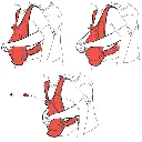 3813.webp