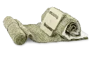 3826.webp