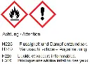 2910.webp