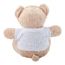 4833.webp