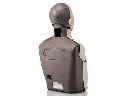 1075.webp