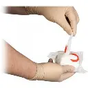 2.webp