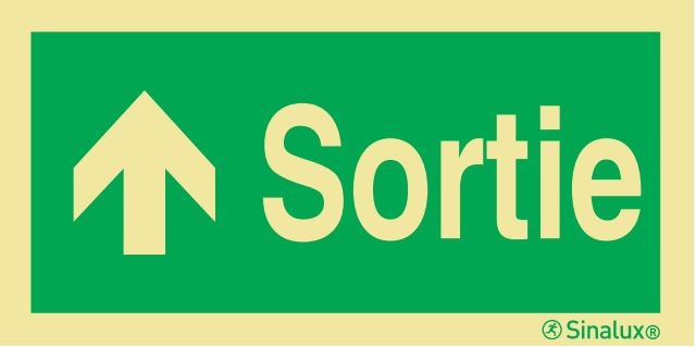 Signalisation Sortie flèche haut-gauche