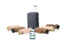 Laerdal Little Anne QCPR mixte (6 Pcs) 2023