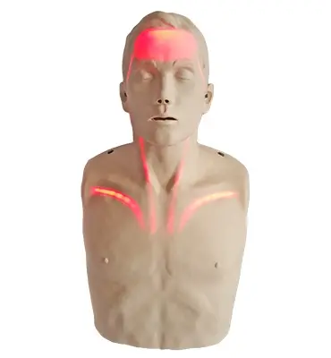 [IM13-R] Mannequin Brayden adulte avec LED rouges