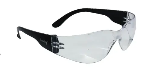 [250-02-0020-EN] Lunettes de protection ZENON
