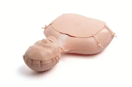 [LA103-00050] Laerdal Mini Anne Global